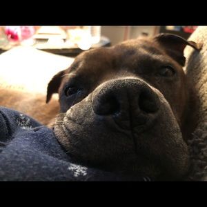 Meet your Posher, Michele